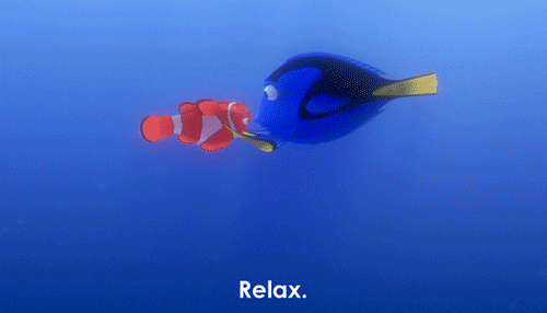 finding nemo gif relax when you're being interviewed on camera