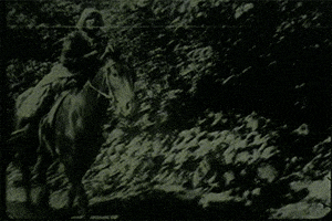 vintage horse GIF by Canadian Museum of History