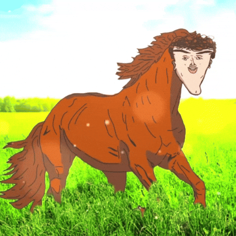 Horse Dream GIF