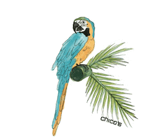 Bird Island Sticker by The Charles Group