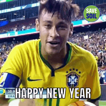 Happy New Year Bonne Annee GIF by Save Soil