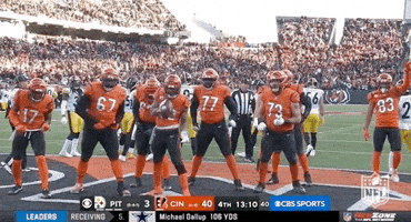 Cincinnati Bengals Football GIF by NFL