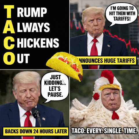Trump Chicken GIF