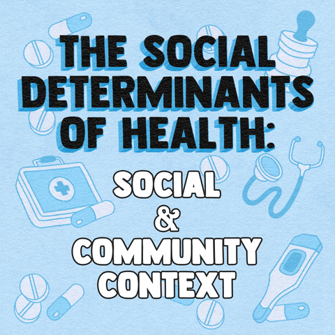 The social determinants of health: Education; income and wealth gaps; health access; workplace conditions; social and community context