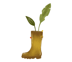 Plant GIF
