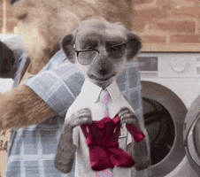 Wash Oops GIF by Compare the Market
