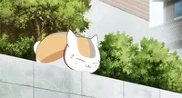 natsumes book of friends art GIF