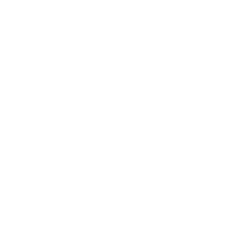 Celebration Sticker by BIPOC in Fiber