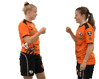 F Liiga Gifs Find Share On Giphy