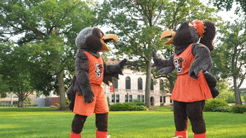 Awesome Bowling Green GIF by Bowling Green State University