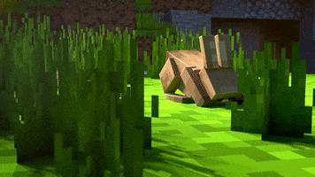 Say What Video Game GIF by Minecraft