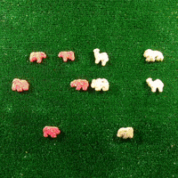 200.gif?cid=f0bdee708npdp8vngdhlkjkmwo2kinctkdthsixg17w01fk2&rid=200.gif&ct=g