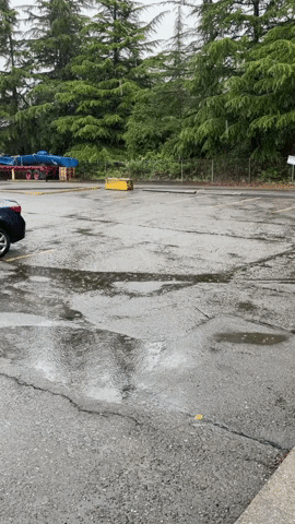 Rain GIF