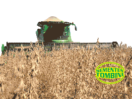 Agro Sticker by sementestombini