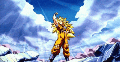 GIF by Winthrop University