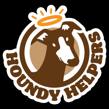 Greyhound GIF by Houndy Helpers NZ