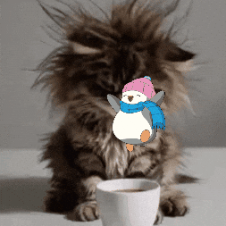 Cat GIF