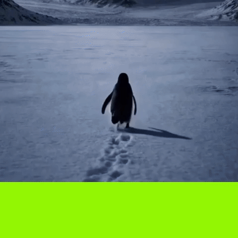 Penguen GIF by diar fabric
