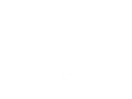 Sunline Sticker
