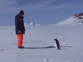 attack falling GIF