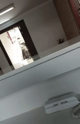 casaiara GIF