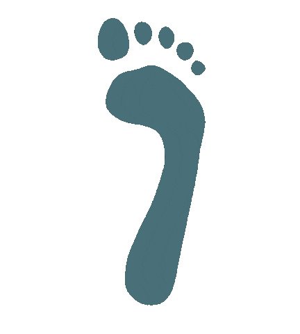 Medische Pedicure Lotte Sticker