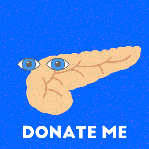 Pancreas Gifyourorgan GIF