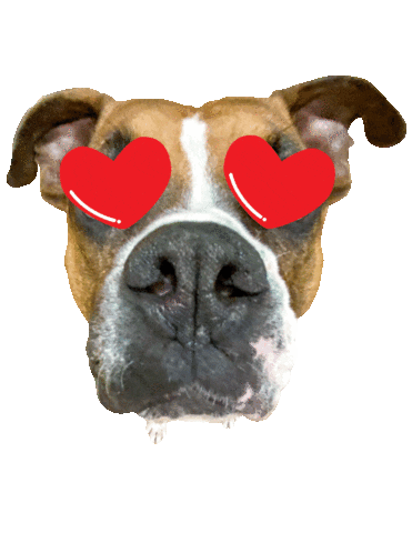 Hearteyes Sticker by fittabulouslife