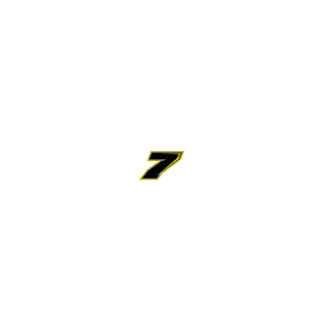Lucky7 Sticker by FHO Racing