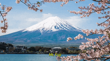 Mt Fuji Japan GIF by ATARASHII GAKKO!