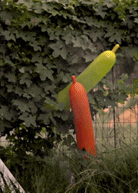 exploding balloons