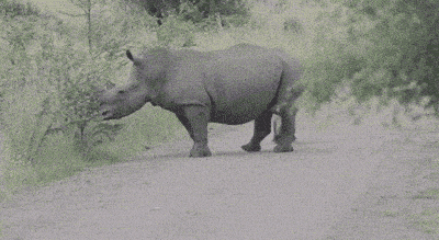 Adventuring through the Canadian Rockies