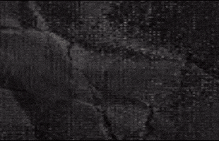 Tampa Bay Buccaneers GIF