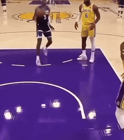Lebron James GIF