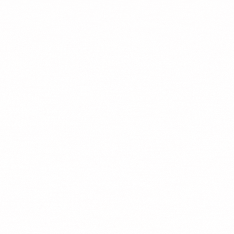 Gypsea Agency GIF