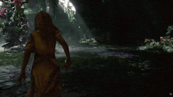 Santa Monica Playstation GIF