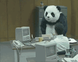 giphy.gif?cid=4bf119fc5cd0adb367657a4f633e26a9&rid=giphy.gif