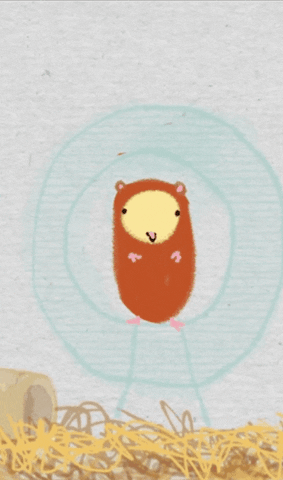 Guinea Pig Yes GIF by Kimmy Ramone