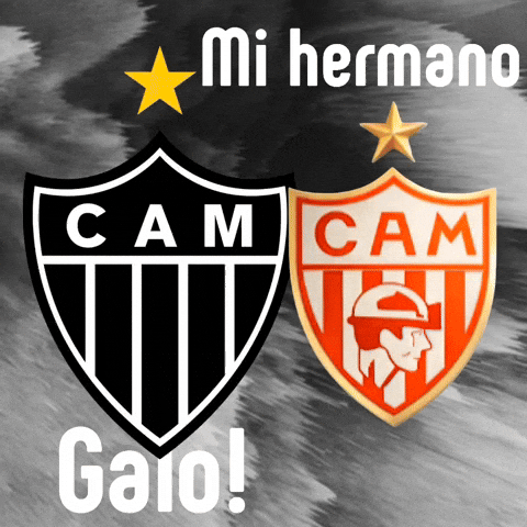 Atletico Atleticomineiro GIF