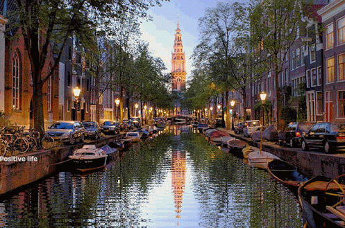 Amsterdam GIF - Find & Share on GIPHY
