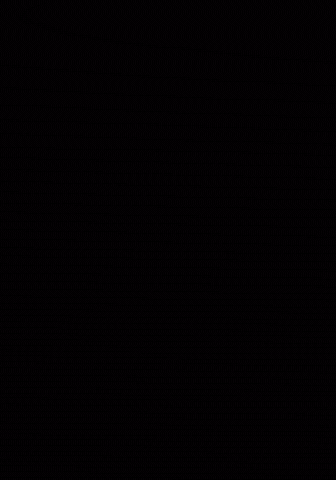 Cat Meme GIF