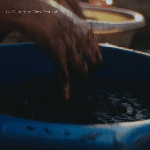 Cleaning Rinse GIF by La Guarimba Film Festival