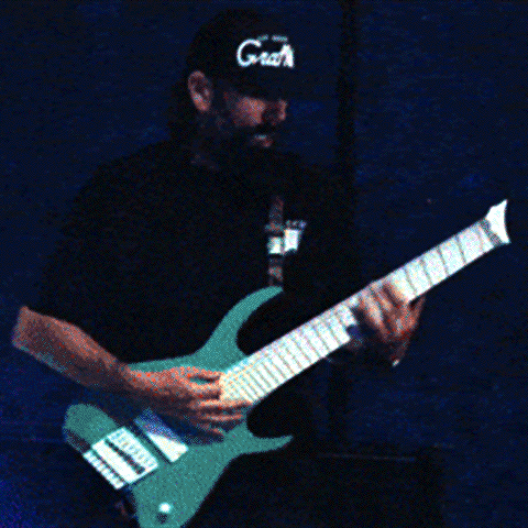 Guitarist GIF