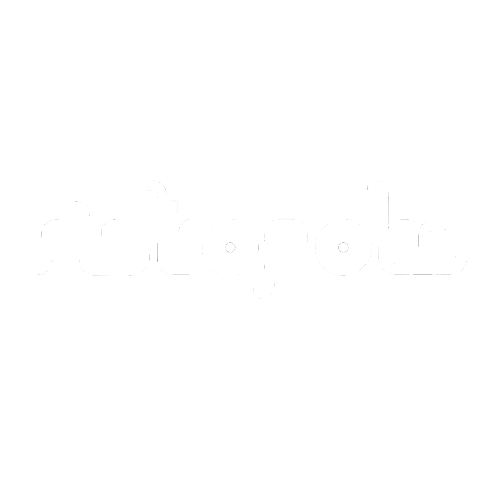 astropolis Sticker