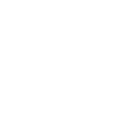 Cat Sticker