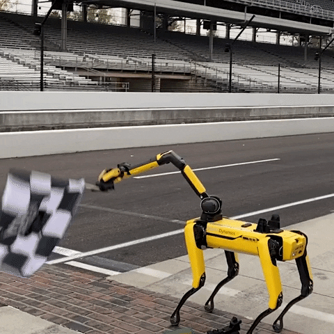BostonDynamics spot race car boston dynamics indy car GIF