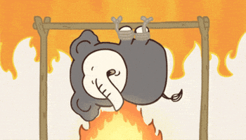 Zou GIF