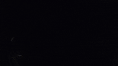 giphy.gif?cid=6c09b952mulsxkq1u1uoou6rma