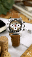 Luxury Revival GIF by Watch Obsession