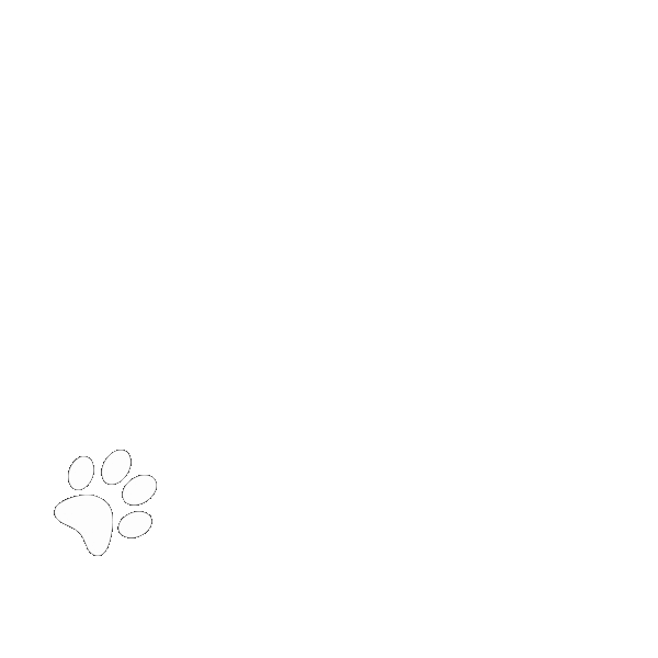 Paws Pawprints Sticker by Barbara